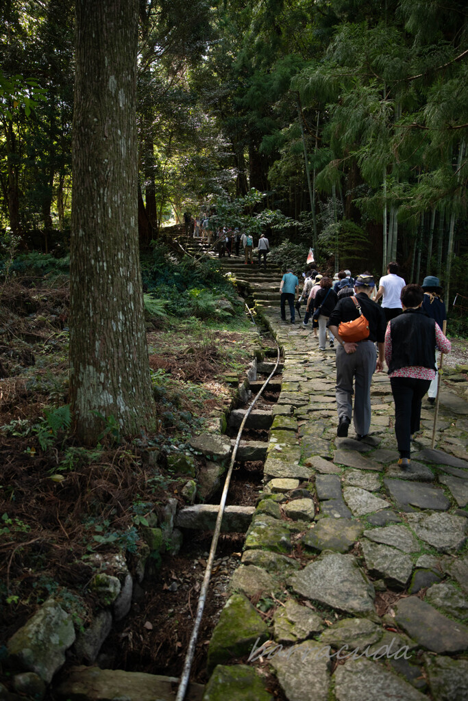 伊勢・熊野・高野山　旅行シリーズ