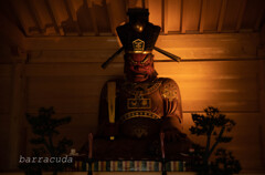 九品仏・浄真寺②