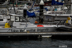 江の島ヨットハーバー④