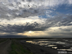 Alviso Marina County Park
