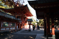 大宮氷川神社⑦