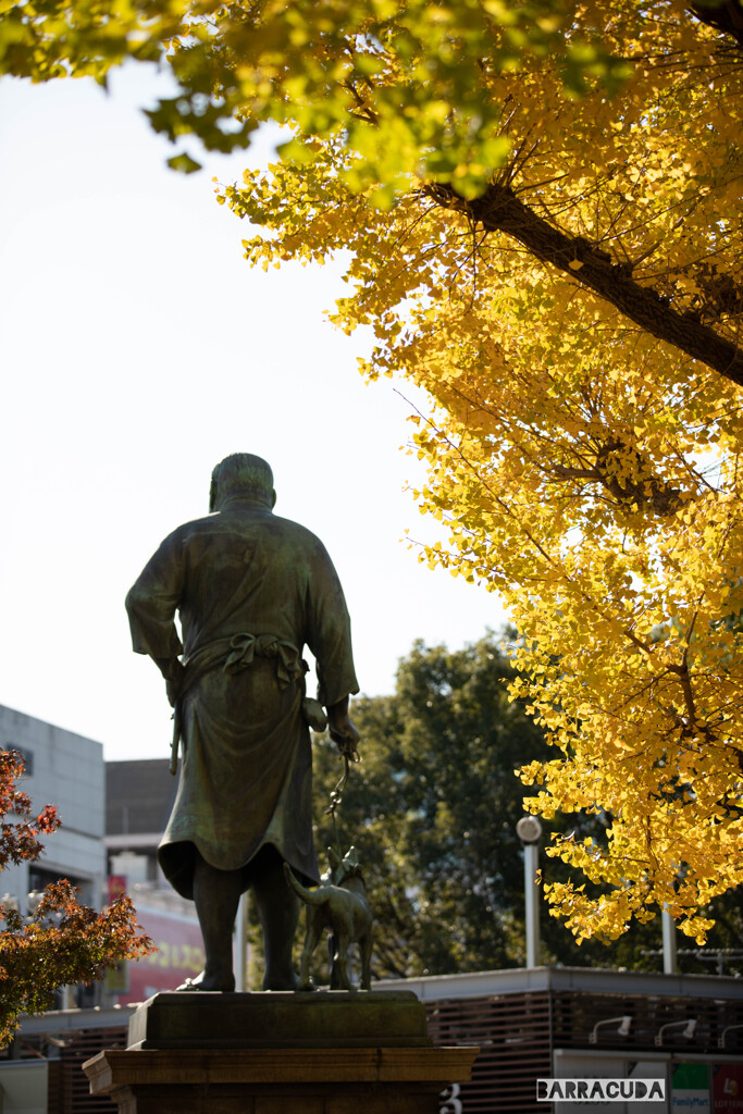 上野公園散策（第一弾）⑦