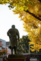 上野公園散策（第一弾）⑦