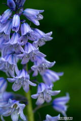 近くの公園にて①