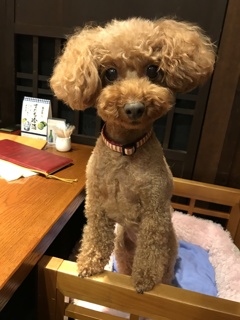 お食事中