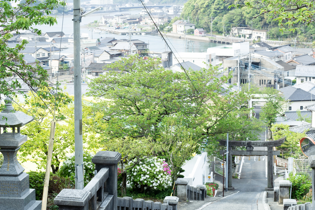 街を見下ろして