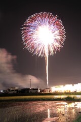 ふくろい遠州の花火9