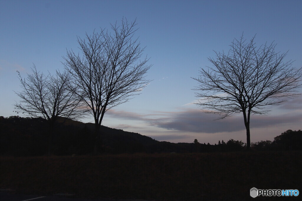 晩秋の夕空