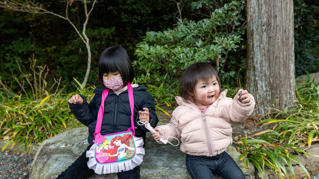 初詣(法多山)②