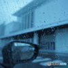 DSC00544