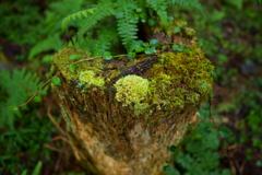 DSC03560