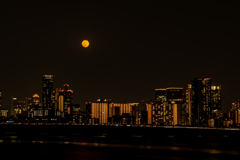 _7500717-2