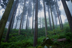DSC03567