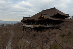 清水の舞台