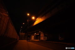 DSC00219