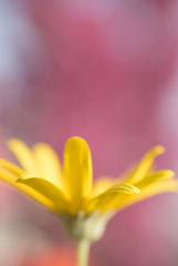 750_7095