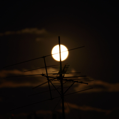 Hunter's moon