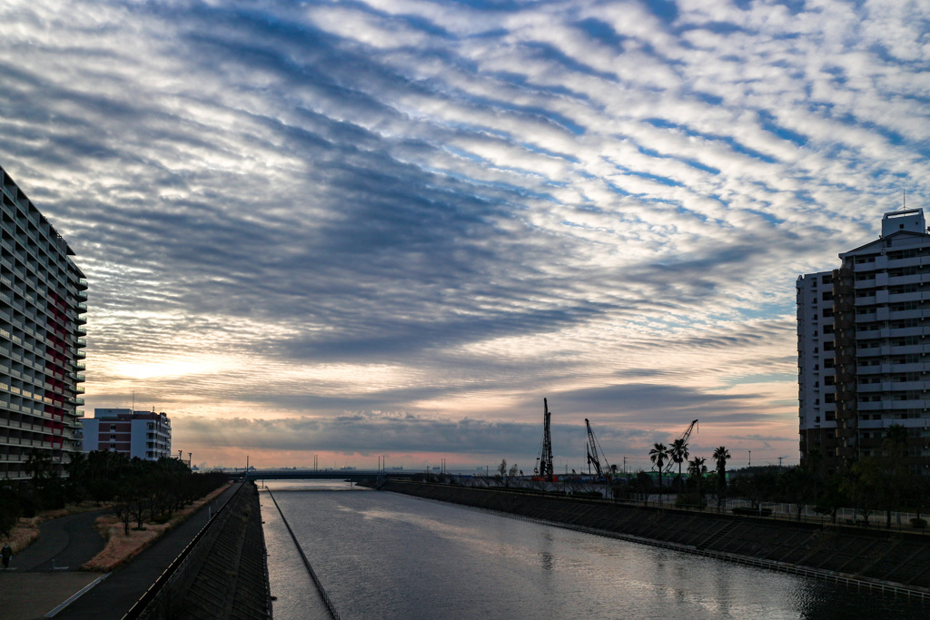 雲が波打つ　今朝の空