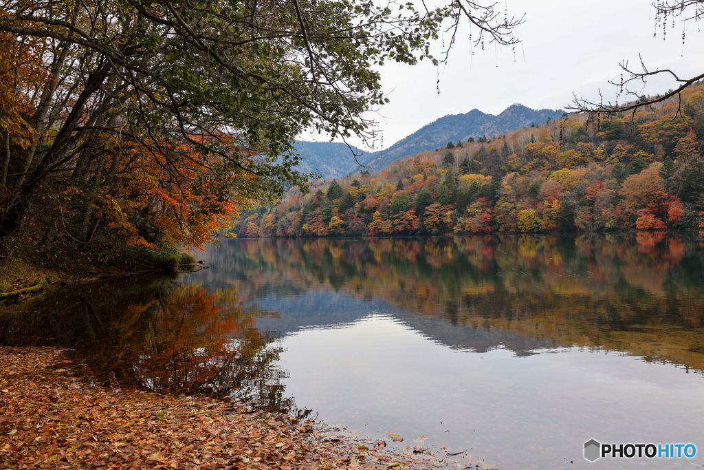 丸沼の水面に映る豊かな紅葉