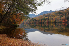 丸沼の水面に映る豊かな紅葉