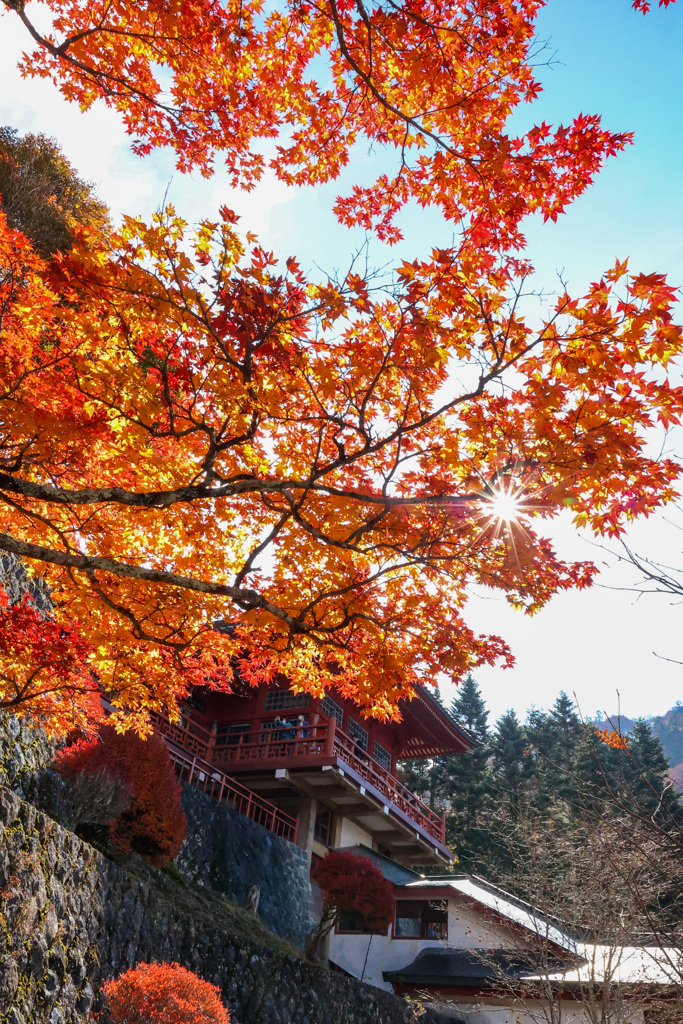 立木観音　中禅寺の紅葉　その2