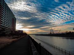 Appleリコメンド 20年1月12日の浦安境川