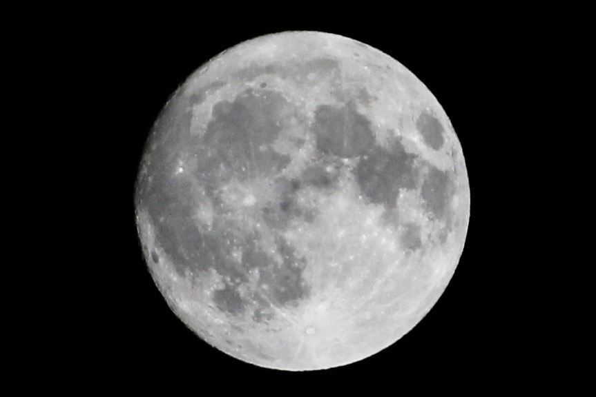 月齢14 今晩の月　きれいです