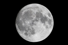 月齢14 今晩の月　きれいです