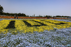 100の文字　千葉市制100周年の花畑