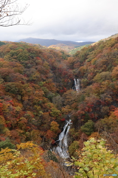 紅葉絢爛　霧降の滝　縦位置