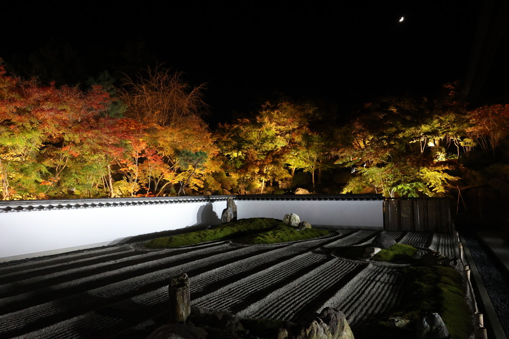 宝徳寺　禅の庭　紅葉　月