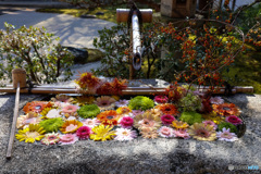 京都紅葉の訪問　妙顕寺　花手水正面から