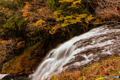 日光　湯滝　道沿いから撮影