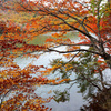 湯ノ湖　湖畔の紅葉　その2