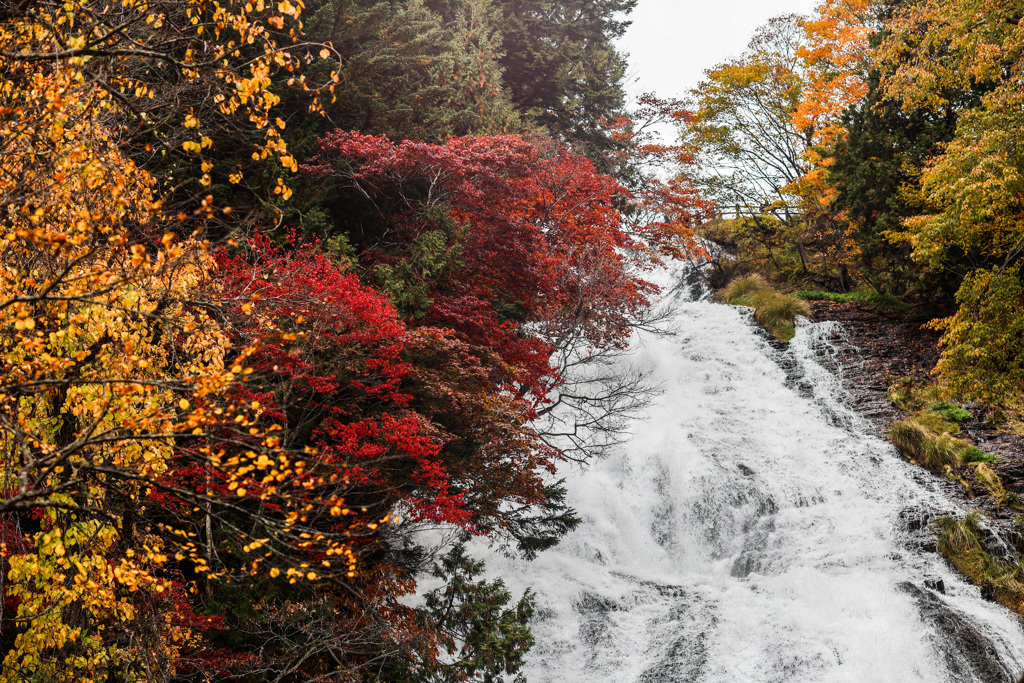 五色の紅葉彩る「湯滝」