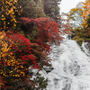 五色の紅葉彩る「湯滝」