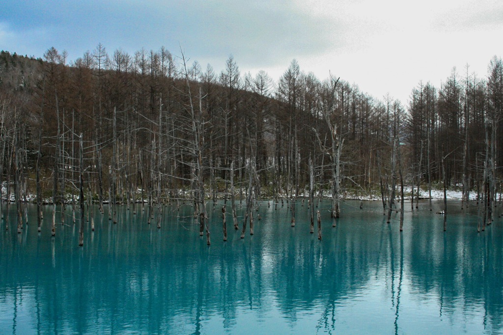 北海道　青い池