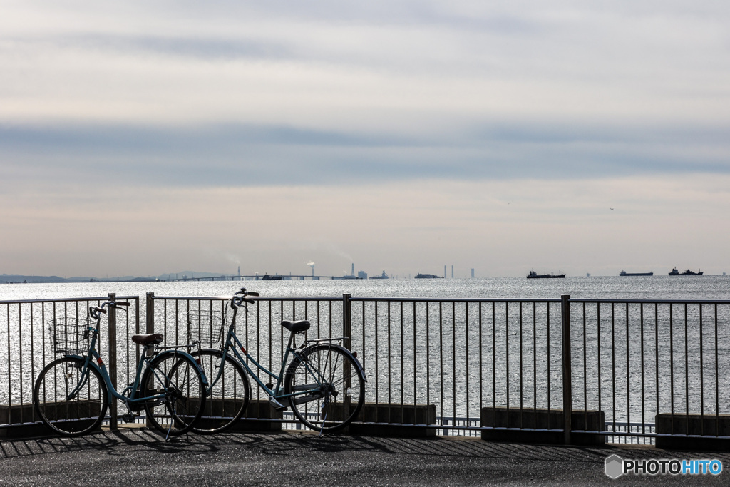 自転車ですぐ行ける　東京湾一望の場所　浦安護岸