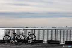 自転車ですぐ行ける　東京湾一望の場所　浦安護岸
