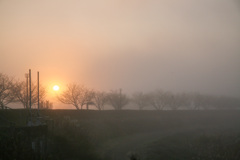 霧の朝　岩国での夜明け