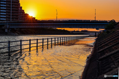 浦安境川　川面の夕暮れ