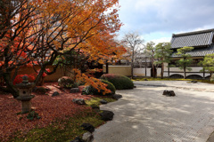 京都紅葉の旅 妙顕寺のお庭と紅葉