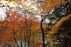 湯ノ湖　湖畔の紅葉　その1