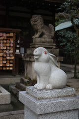 来年の干支であります＠岡崎神社　狛ウサギ