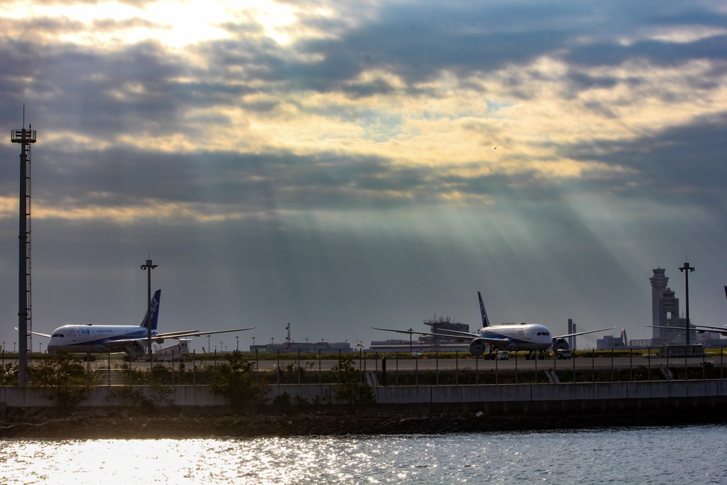 今朝の羽田空港には、レンブラント効果の光が注いでおりました