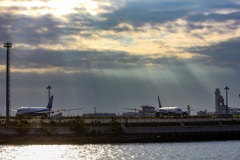 今朝の羽田空港には、レンブラント効果の光が注いでおりました