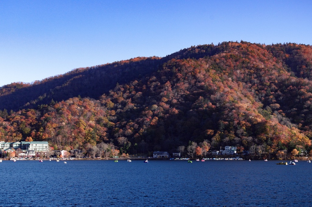中禅寺湖　対岸の紅葉