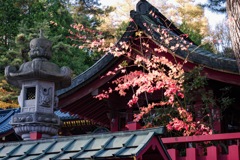 紅葉　二荒山神社