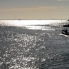 浦安沖に向け釣り人の船出