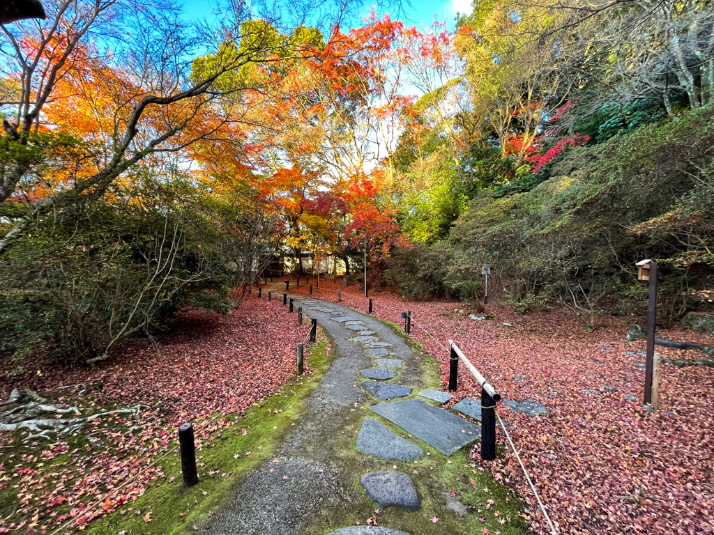 散り紅葉の道＠京都青蓮院